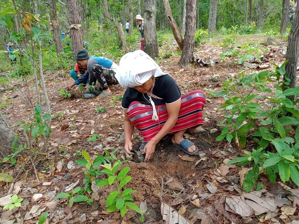 20200810_Reforestation_Project