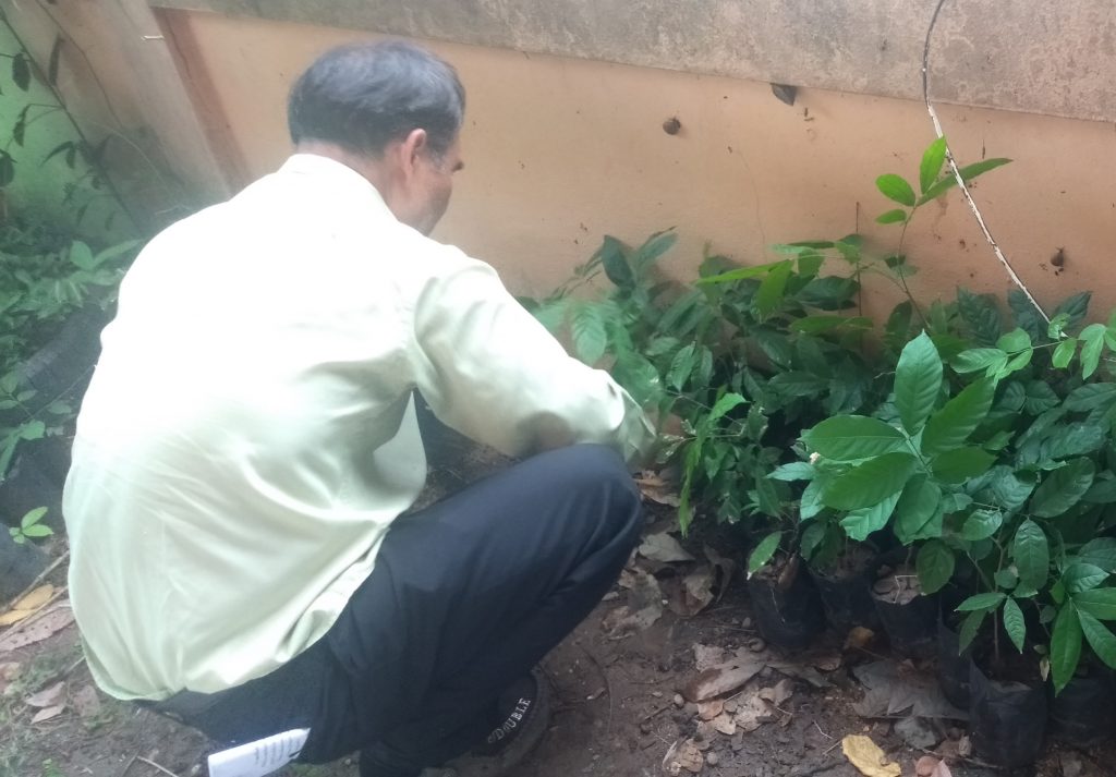 20200810_Reforestation_Project