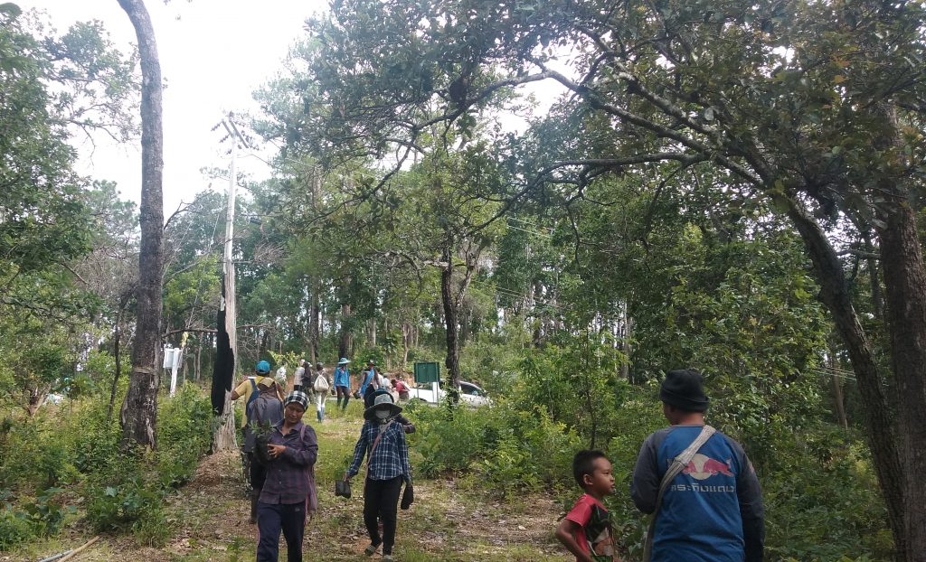 20200810_Reforestation_Project