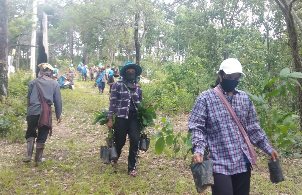 20200810_Reforestation_Project
