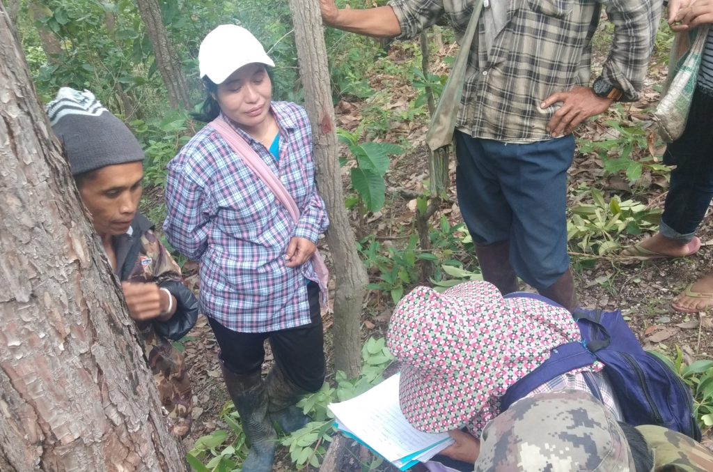 20200810_Reforestation_Project