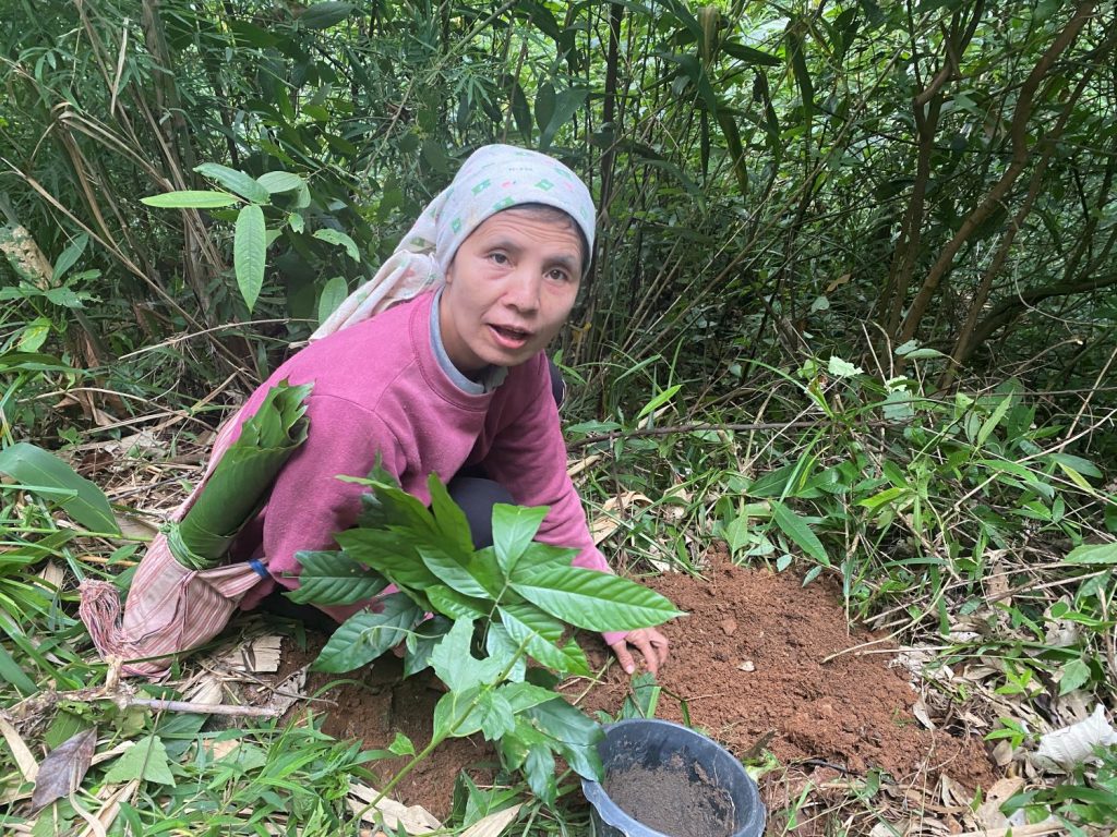 โครงการปลูกพืชอาหารให้ชะนีและสัตว์ป่า